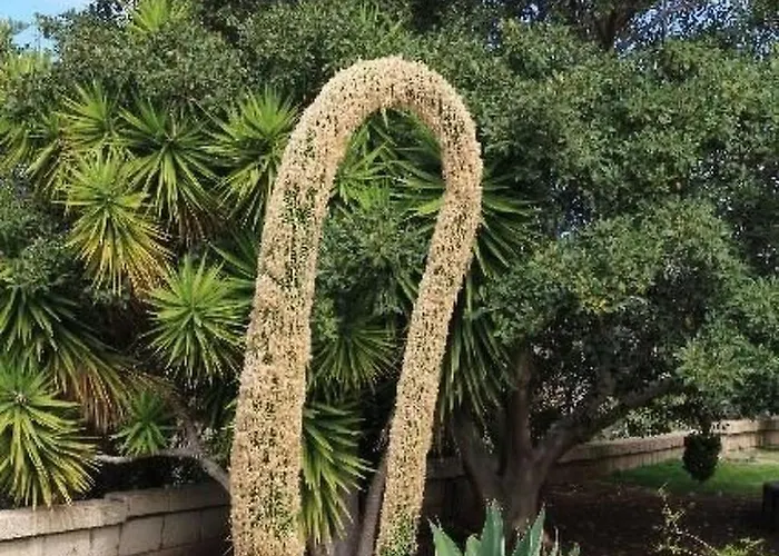 Schoene Sanjuan Mit Pool Und Meerblick By Interhome Tatil Evi *